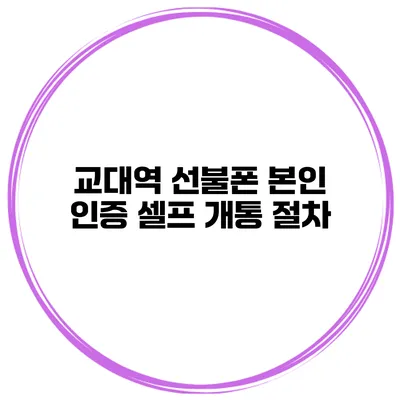 교대역 선불폰 본인 인증 셀프 개통 절차
