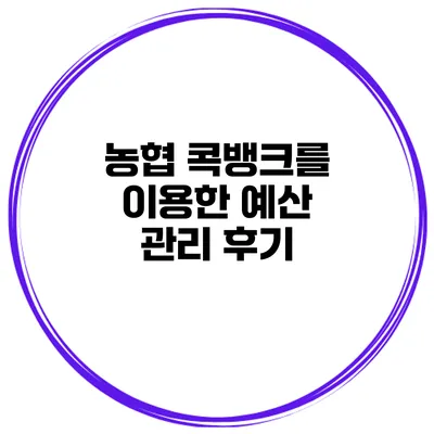 농협 콕뱅크를 이용한 예산 관리 후기