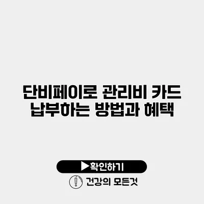 단비페이로 관리비 카드 납부하는 방법과 혜택