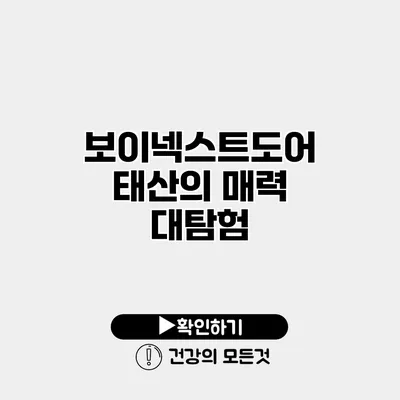 보이넥스트도어 태산의 매력 대탐험