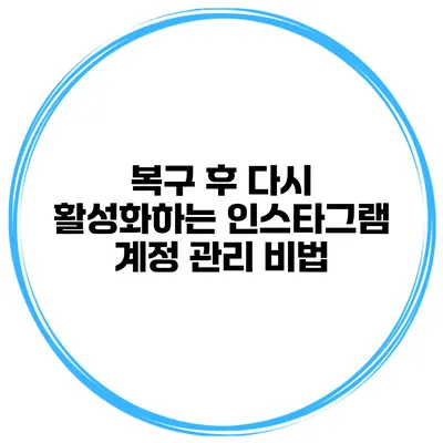 복구 후 다시 활성화하는 인스타그램 계정 관리 비법