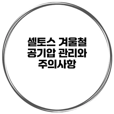 셀토스 겨울철 공기압 관리와 주의사항