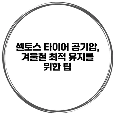 셀토스 타이어 공기압, 겨울철 최적 유지를 위한 팁