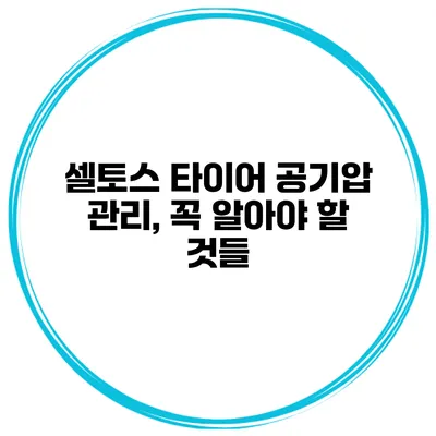 셀토스 타이어 공기압 관리, 꼭 알아야 할 것들