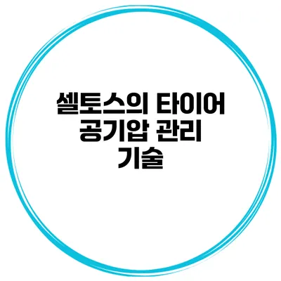 셀토스의 타이어 공기압 관리 기술