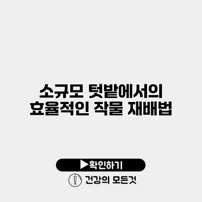소규모 텃밭에서의 효율적인 작물 재배법