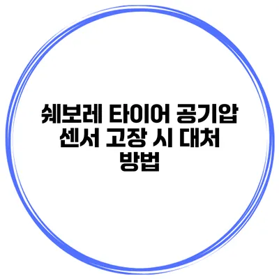 쉐보레 타이어 공기압 센서 고장 시 대처 방법