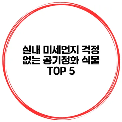 실내 미세먼지 걱정 없는 공기정화 식물 TOP 5