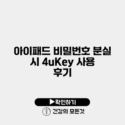 아이패드 비밀번호 분실 시 4uKey 사용 후기