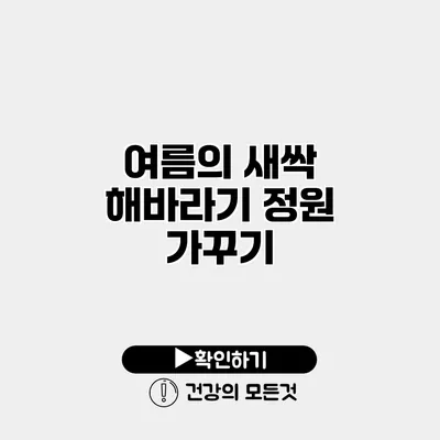 여름의 새싹 해바라기 정원 가꾸기
