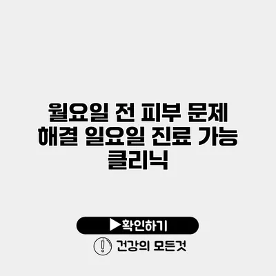 월요일 전 피부 문제 해결 일요일 진료 가능 클리닉