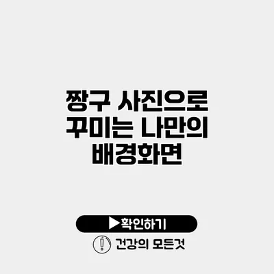 짱구 사진으로 꾸미는 나만의 배경화면