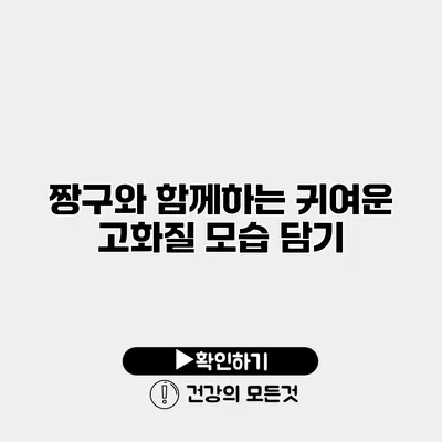 짱구와 함께하는 귀여운 고화질 모습 담기