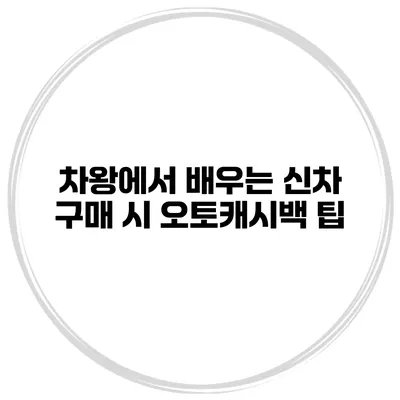 차왕에서 배우는 신차 구매 시 오토캐시백 팁
