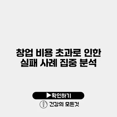 창업 비용 초과로 인한 실패 사례 집중 분석
