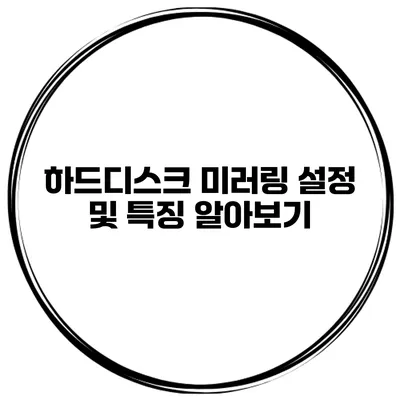 하드디스크 미러링 설정 및 특징 알아보기
