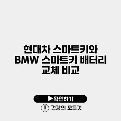 현대차 스마트키와 BMW 스마트키 배터리 교체 비교